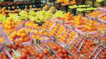 من المزارع إلى الأسواق: كيف أسهم الإنتاج المحلي للإسماعيلية في خفض أسعار الفاكهة؟